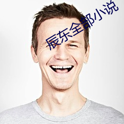 辰东全(quán)部小说