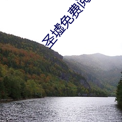 圣(聖)墟免(免)费阅(閱)读全文