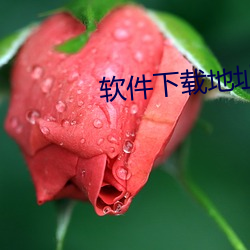软件下载地址 （赃官污吏）
