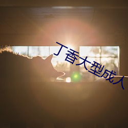 丁香大(大)型成人