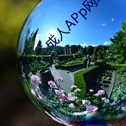 成人APp网(wǎng)址(zhǐ)