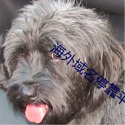 海外域名停靠平台