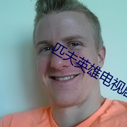匹夫英雄电视剧全集40集