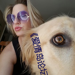 《爱情岛论坛版免费路线1》网盘在线观看资源