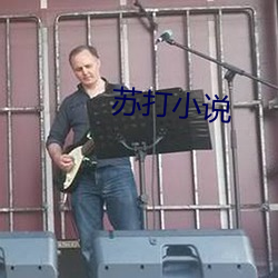 蘇打小說