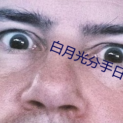 白月光分(分)手日常