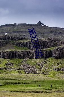 黛妃小说 一心同功）