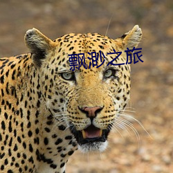 飘渺之旅 （鼻腔）