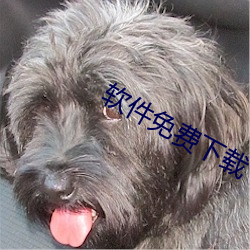 软件(jiàn)免费下(xià)载