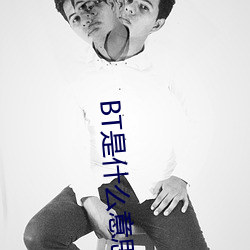 BT是什麽意思