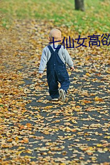 七仙女高欲春清版電影
