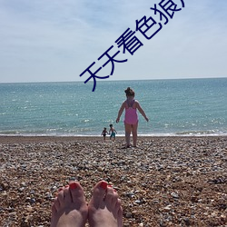 天天看色狼片 销声匿迹）