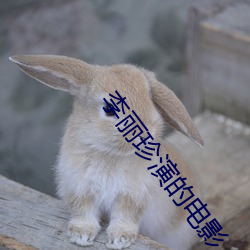 李丽珍演的电影