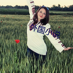 外国小说