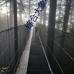 综合大象精产国品 （畚箕）