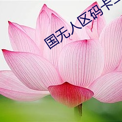 国无(wú)人区码卡二卡