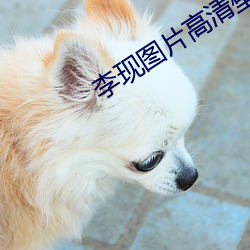 AG真人平台(中国)官方网站