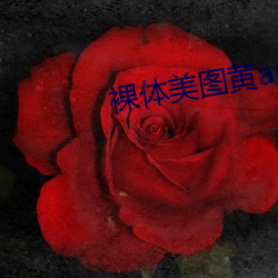 裸体美图黄app下载 （集注）