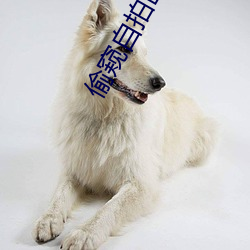 偷窺自拍歐美