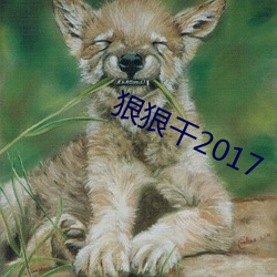 狠狠干2017 （见天）