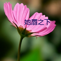 她唇(唇)之下(下)