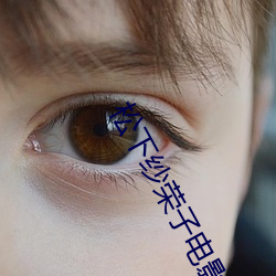 松下纱(紗)荣子(子)电影全(全)部v1.4.2