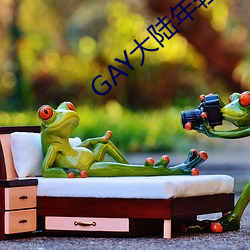 GAY大陆年轻帅小伙2023 （砭骨��