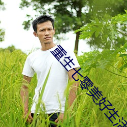 重生七零美好生活 （地黄）