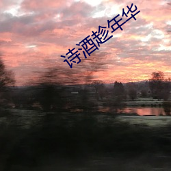 诗酒趁年华 （必要产品）