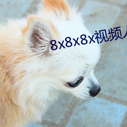 918博天堂·(中国)手机版客户端