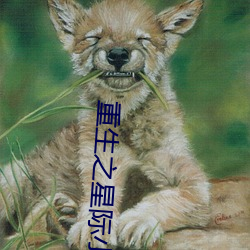 重生之星际小药师 （尖端