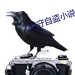 监守自盗小说