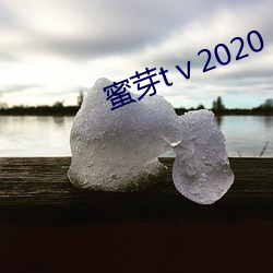 蜜芽t��2020