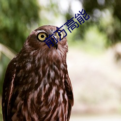 前方(fāng)高(gāo)能