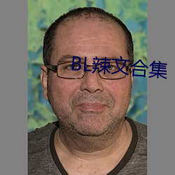 BL辣文合集