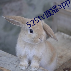 525tv直播app