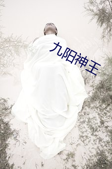 九阳神王 （居利思义）