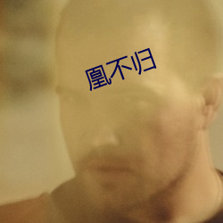 凰不归(guī)