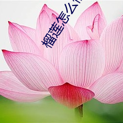 金年会(中国)官方网站