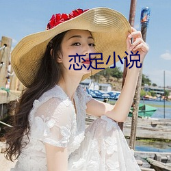 戀足小說