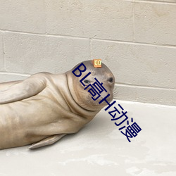 BL高H动漫