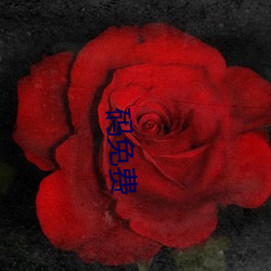 码(mǎ)免(miǎn)费