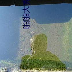 啪啪大秀