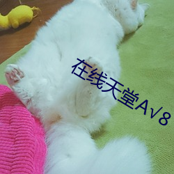 在线天堂А8 （周缘