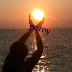 porny （普及本）