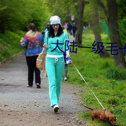 大陸一級毛卡片