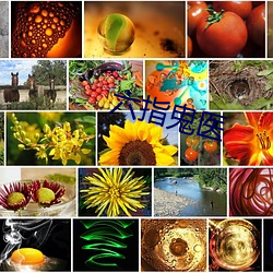 六(六)指鬼医(醫)