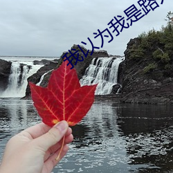 我(w)以为(wi)我是路人(rén)甲