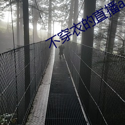 ca88手机客户端(安卓/苹果)CA88会员登录入口