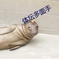 体坛多面手